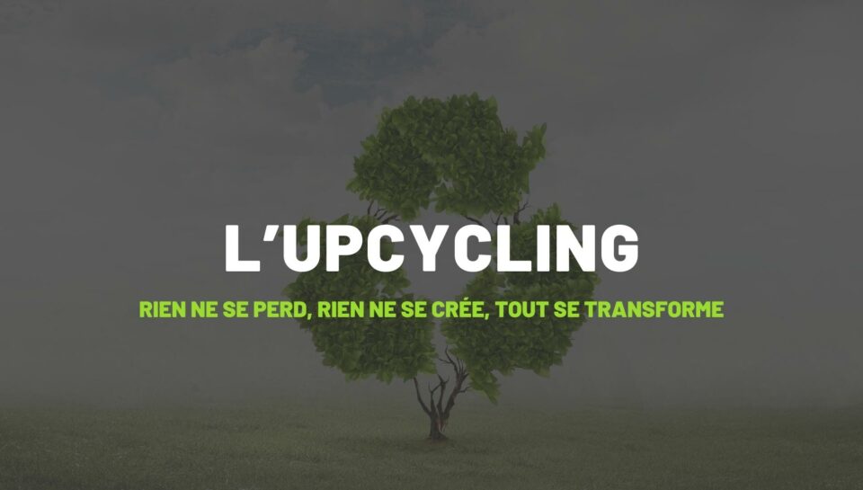 Illustration de l’upcycling avec un arbre et le message Rien ne se perd, tout se transforme