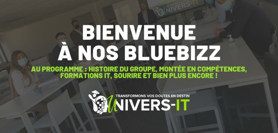 Visuel de bienvenue aux Bluebizz : histoire du groupe, formations IT et montée en compétences
