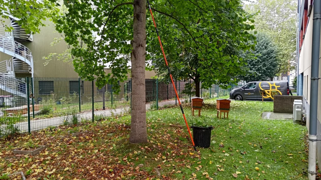 Arbres et ruches dans les espaces verts du siège, dans le cadre du projet Bee City