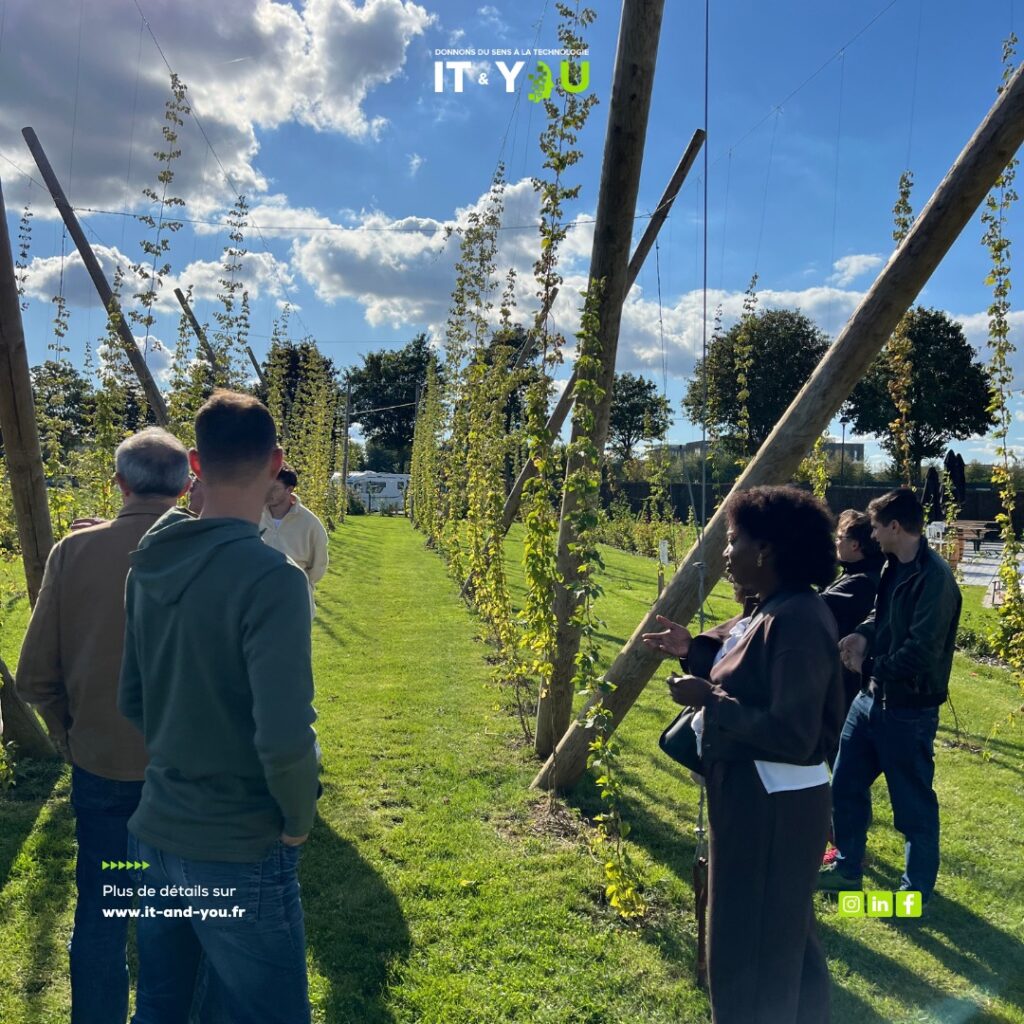 Récolte du houblon et brassage avec Bee City — photographie 6 du reportage IT & You