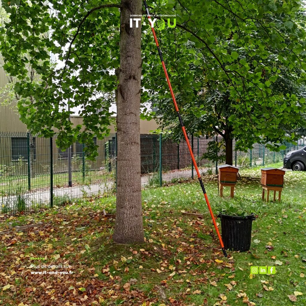 Récolte du houblon et brassage avec Bee City — photographie 9 du reportage IT & You