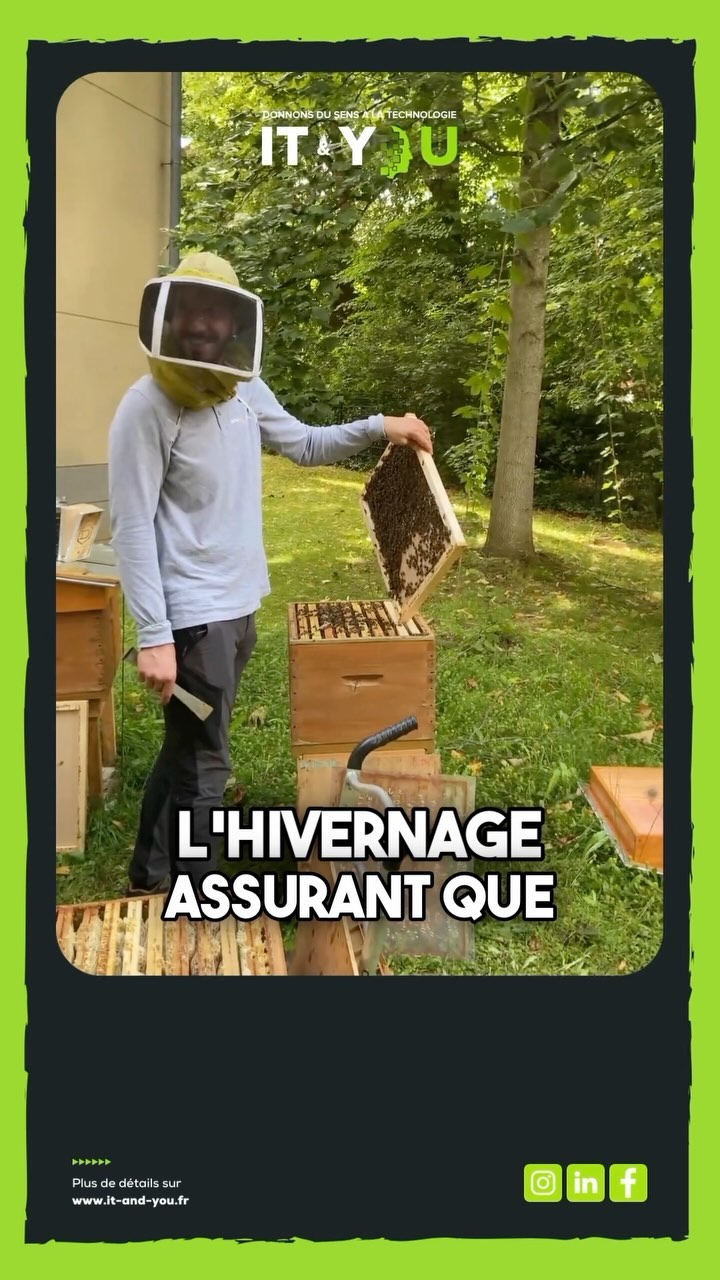 Aperçu de la vidéo sur la vie des abeilles dans nos ruches