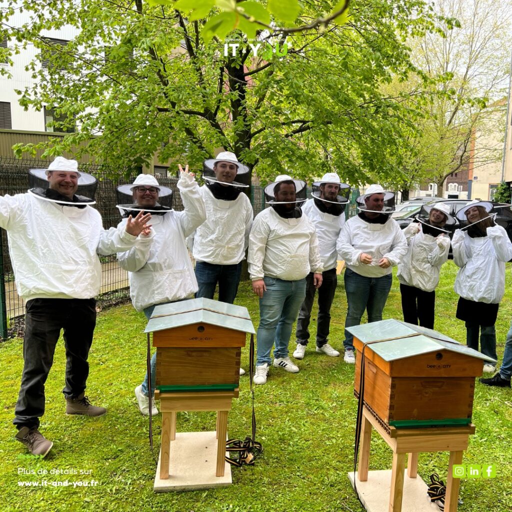 La vie des abeilles au siège IT & You — photographie 1 du reportage Bee City